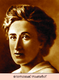 Image:Rosa_luxemburg1-svk-15.png