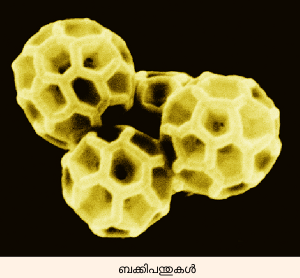 Image:luo-buckyballs.png