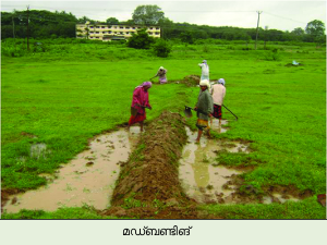 Image:preparation agricultural land.png