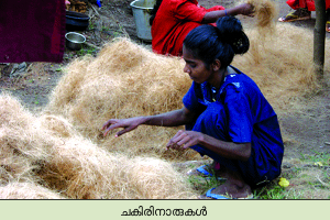 Image:coir 1.png