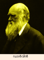 Image:Darwin.png