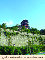 Image:Nanjing ancient city wall.png