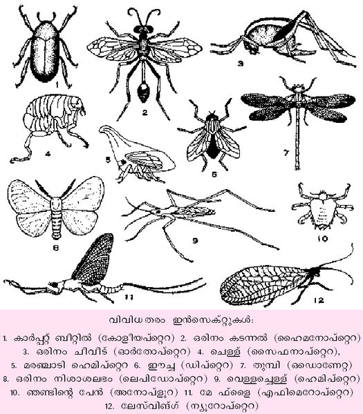 ചിത്രം:Vol3 185 1.jpg