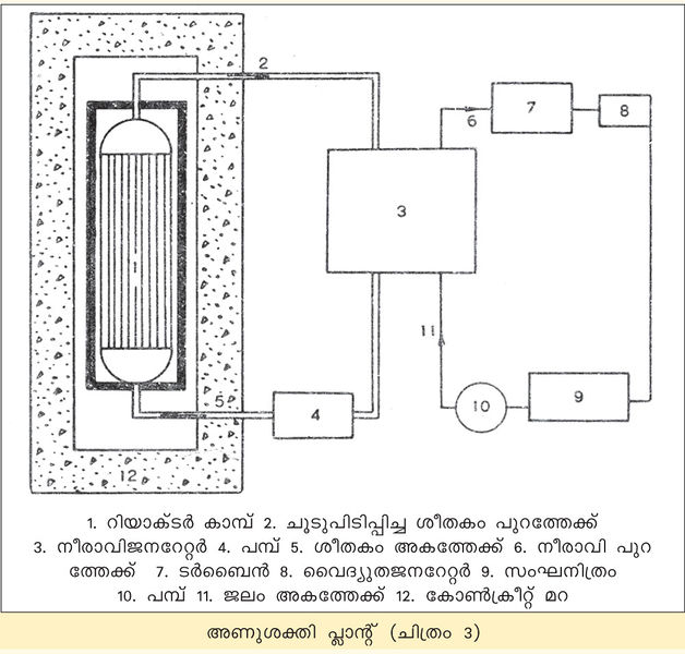 ചിത്രം:Vol3a 439 Image 1.jpg