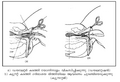 Thumbnail for version as of 09:41, 21 നവംബര്‍ 2008