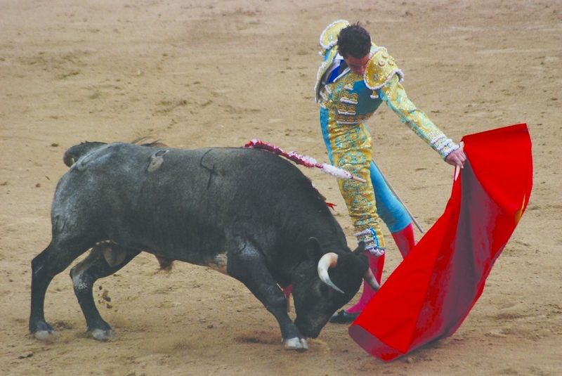 ചിത്രം:Vol7p464 Madrid Bullfight.jpg
