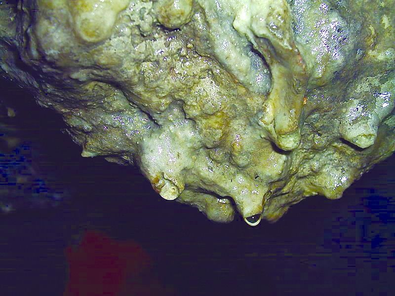 ചിത്രം:800px-Stalactite-drop.jpg.jpg