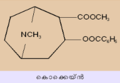 Thumbnail for version as of 17:48, 19 ജൂലൈ 2015