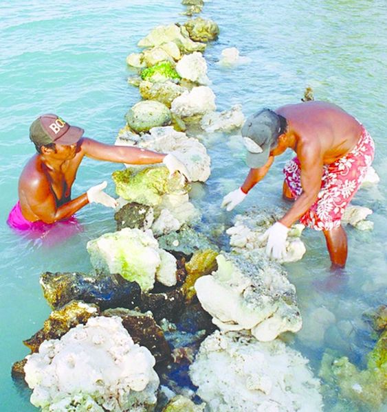 ചിത്രം:Vol7p526 Atoll-Tarawa Kiribati DX-News T30OUgg.jpg
