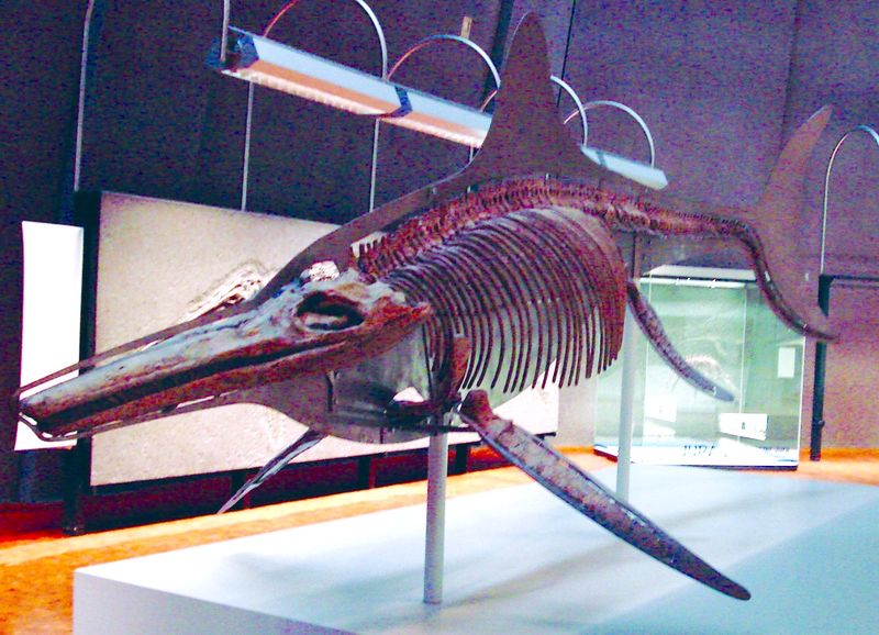 ചിത്രം:Temnodontosaurus trigonodon mounted skeleton.jpg