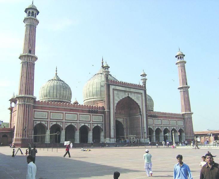 ചിത്രം:Vol3p738 Jama-Masjid-Delhi.jpg.jpg
