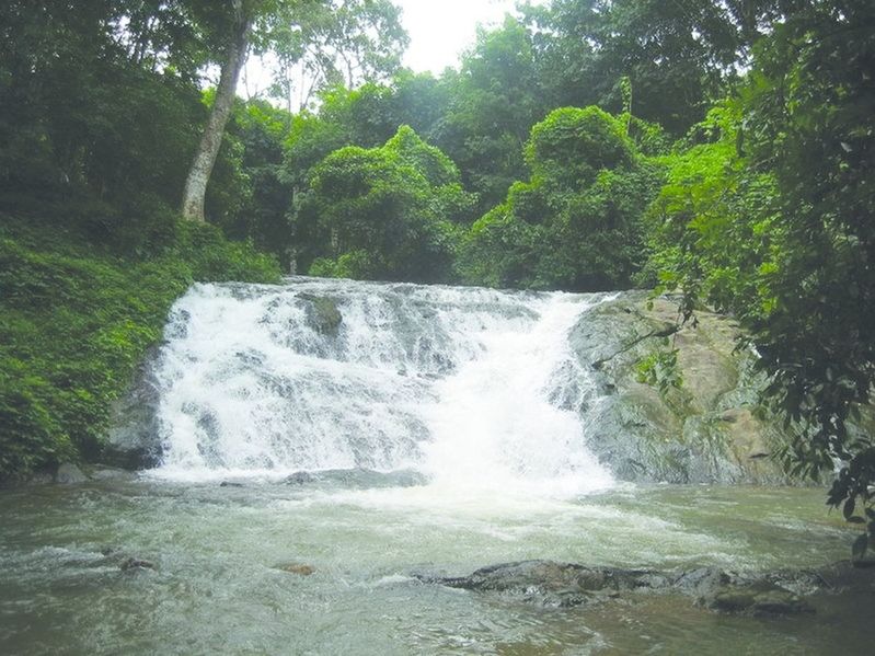 ചിത്രം:Vol7p798 Water falls at Rajagiri estate in Koodal.jpg