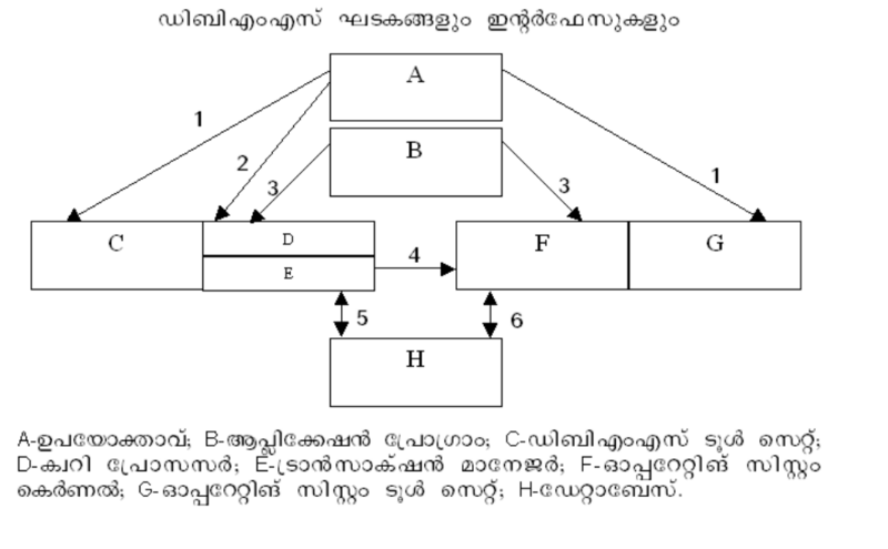 ചിത്രം:Pno29.png