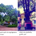 Thumbnail for version as of 07:13, 28 ഏപ്രില്‍ 2011