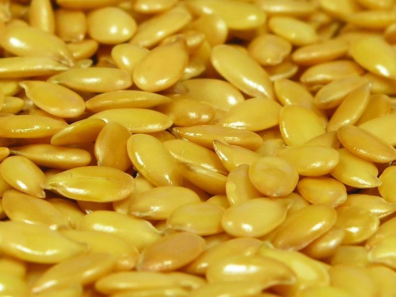 ചിത്രം:Vol5p98 Flax seed is the source of linseed oil.jpg