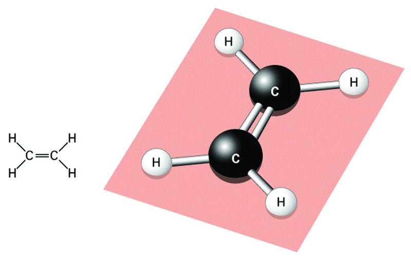 ചിത്രം:Vol5p98 Ethylene.jpg