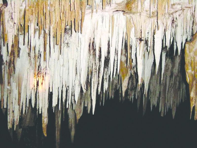 ചിത്രം:Vol5p338 stalactites.jpg